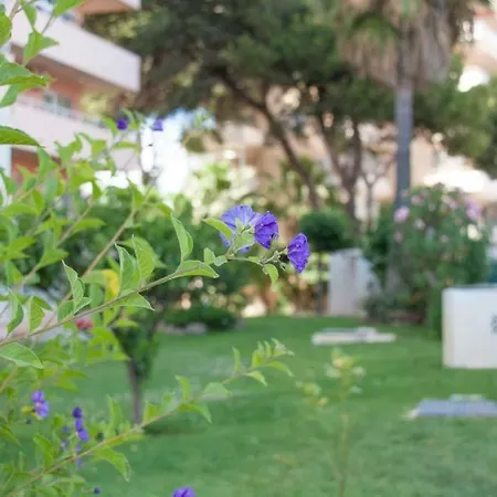 Lejlighed Apartamento Mar Y Sol En Benalmádena